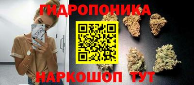 герыч Моздок