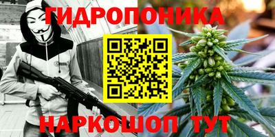 герыч Моздок
