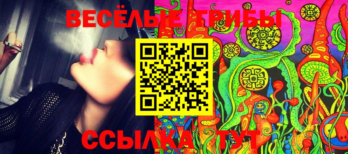 Бугульма  Галлюциногенные грибы мицелий  Вход с VPN 