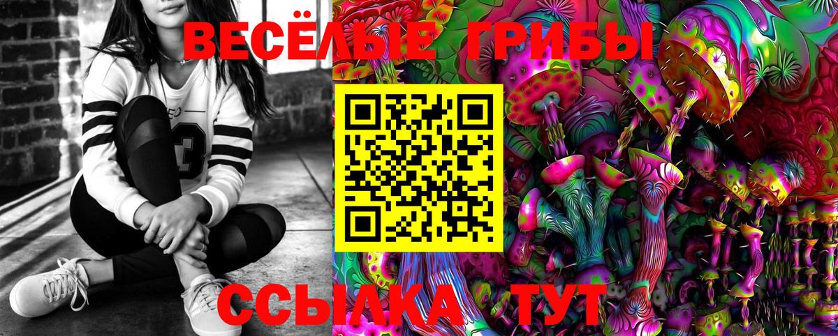 Галлюциногенные грибы Cubensis Бугульма